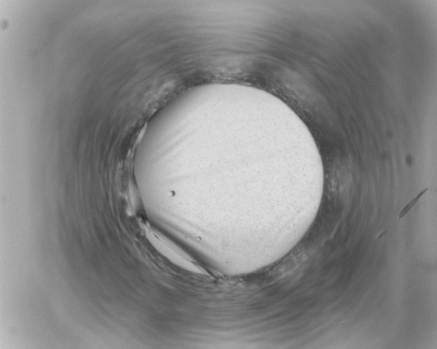 X0000059041346200511041626