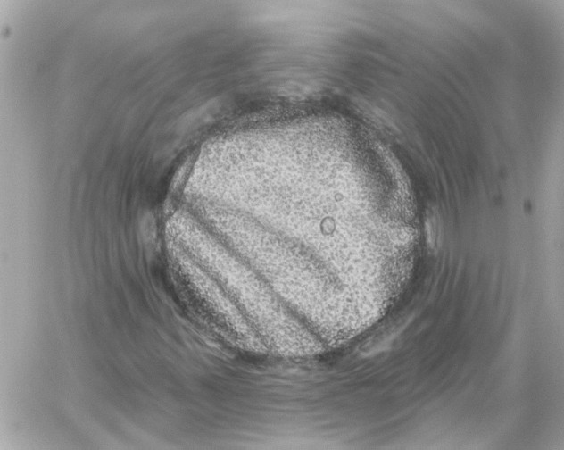 X0000059041347200511041626