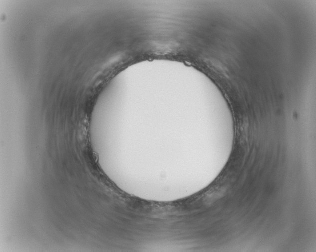 X0000059041349200511041626