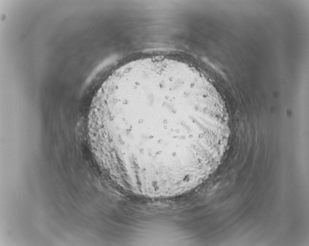 X0000059041351200511041626