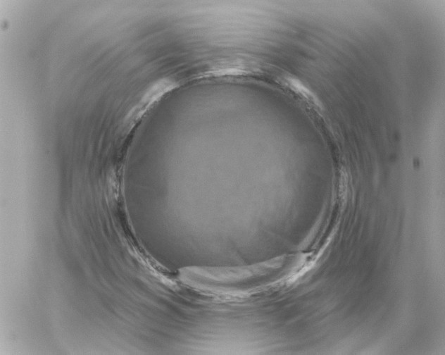 X0000059041353200511041626