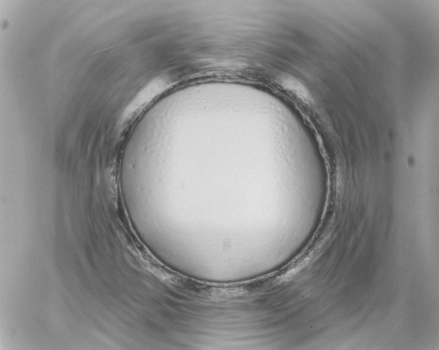 X0000059041354200511041626