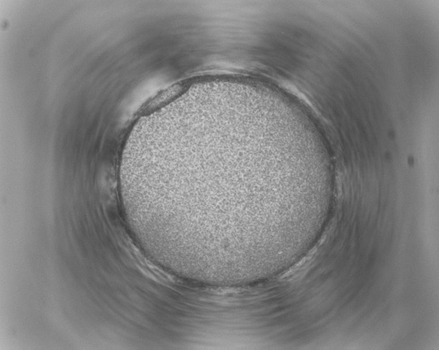 X0000059041355200511041626