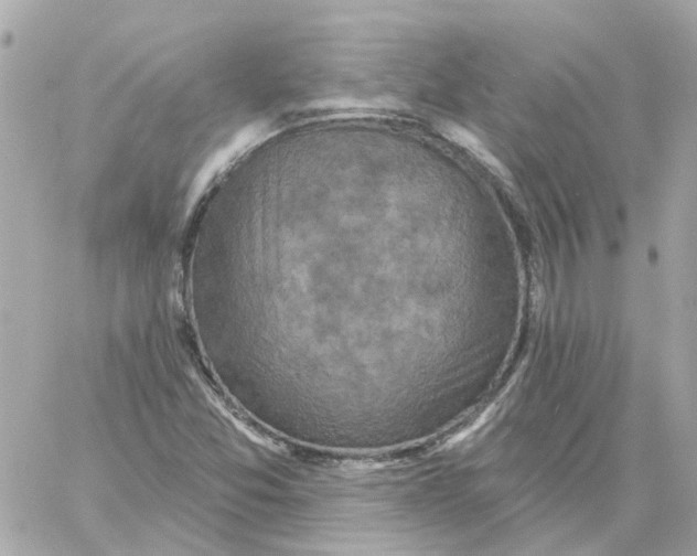 X0000059041357200511041626