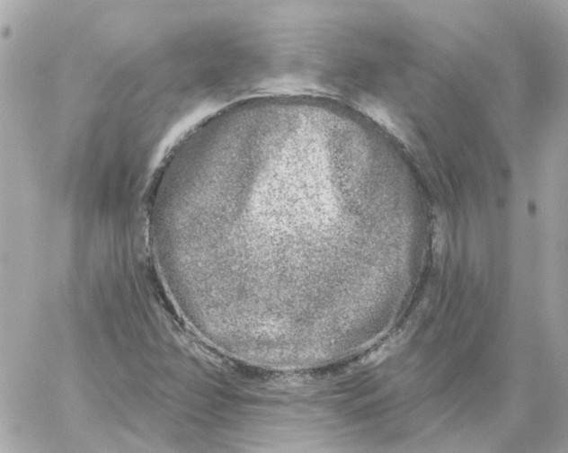 X0000059041358200511041626