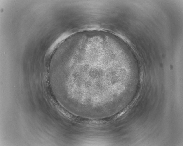 X0000059041359200511041626