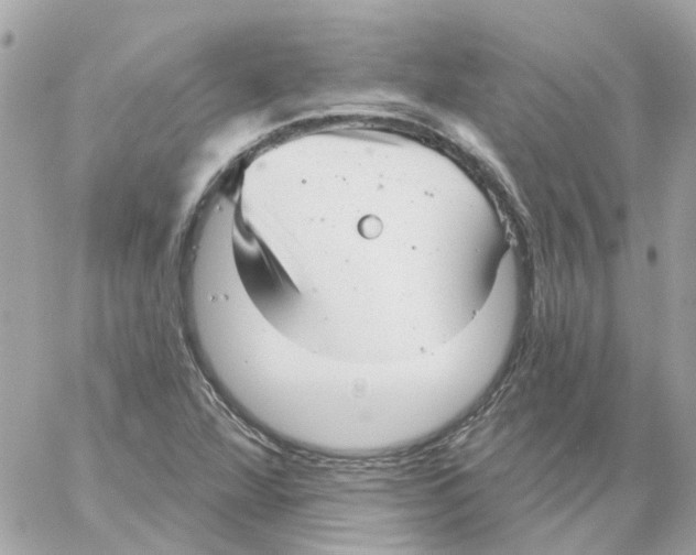 X0000059041360200511041626