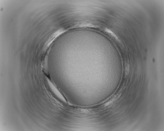 X0000059041361200511041626