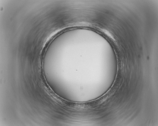 X0000059041364200511041625