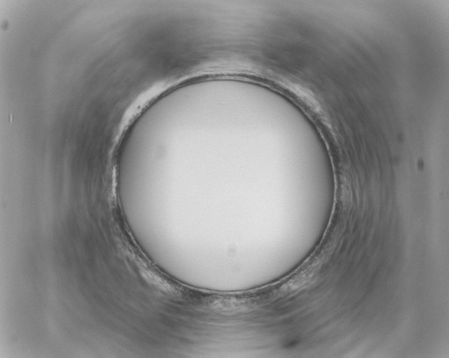 X0000059041366200511041625