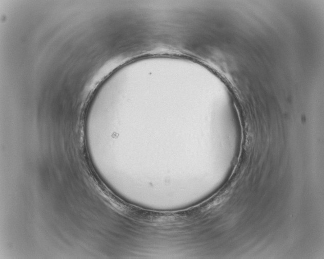 X0000059041367200511041625