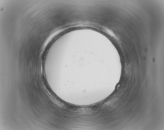 X0000059041368200511041625