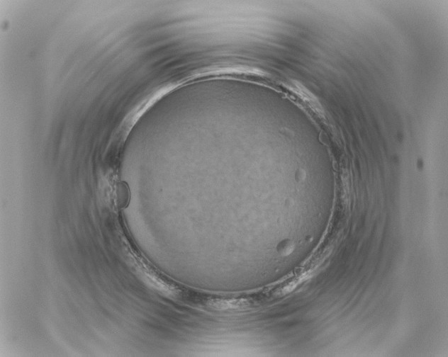 X0000059041369200511041625