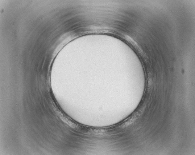 X0000059041370200511041625