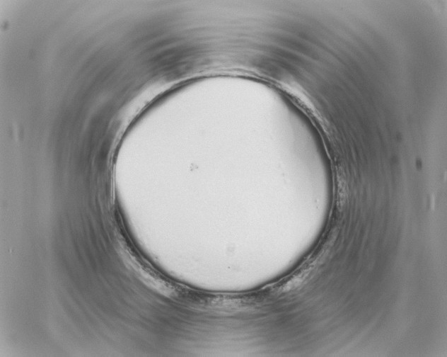 X0000059041371200511041625