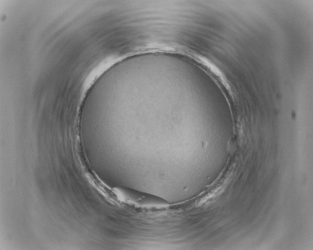 X0000059041373200511041625