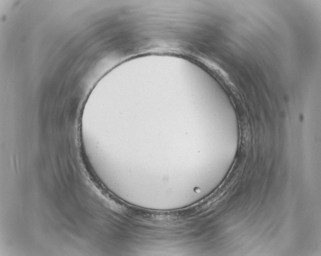 X0000059041375200511041625