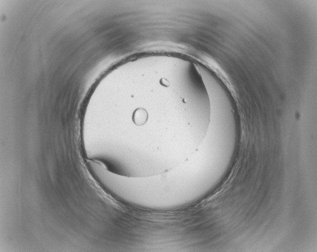 X0000059041376200511041625