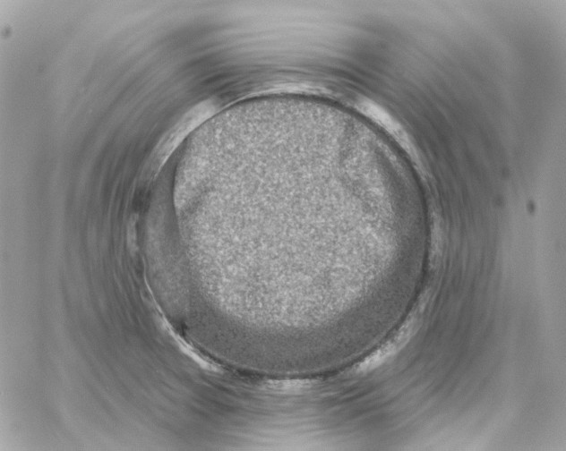 X0000059041377200511041625