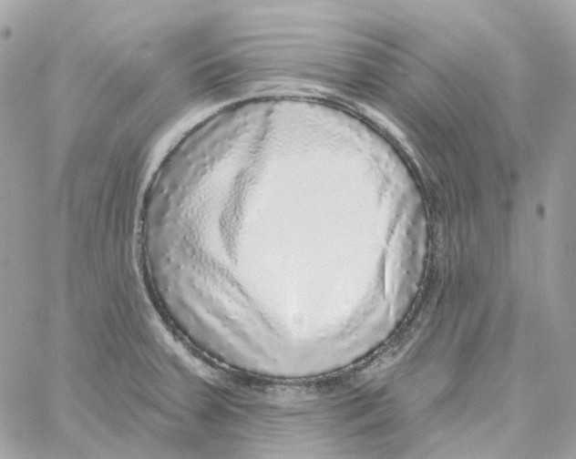 X0000059041379200511041625