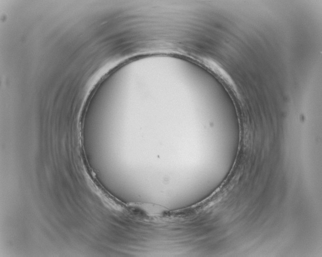 X0000059041380200511041625