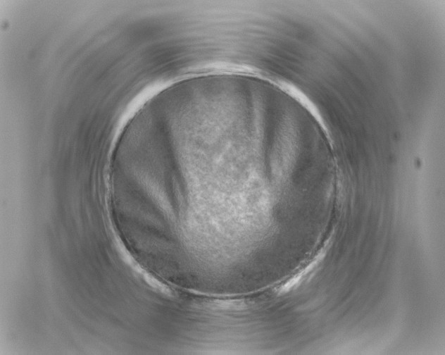 X0000059041381200511041625