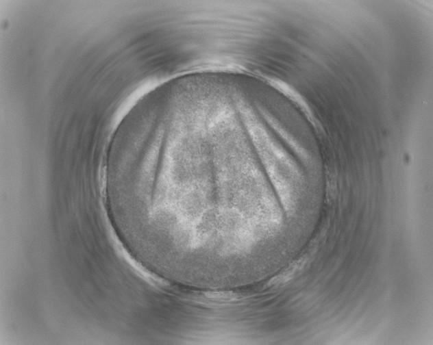 X0000059041383200511041625