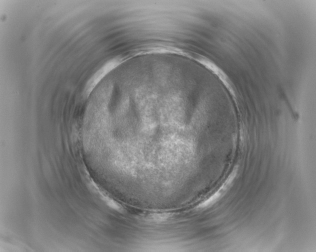 X0000059041385200511041625