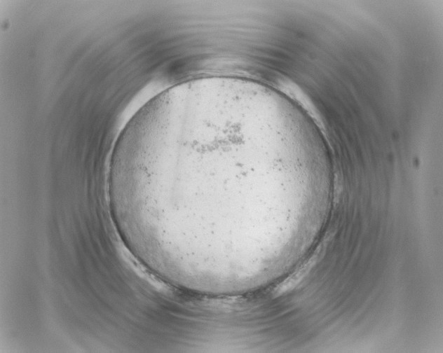 X0000059041386200511041625