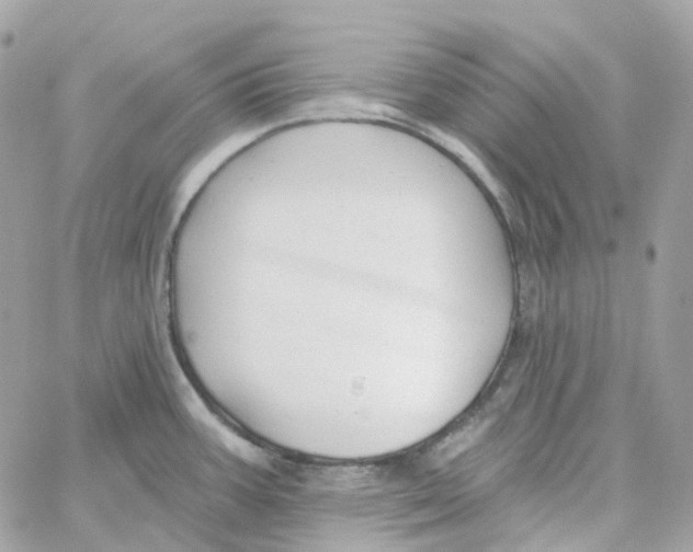 X0000059041387200511041625