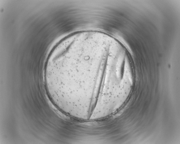 X0000059041388200511041625