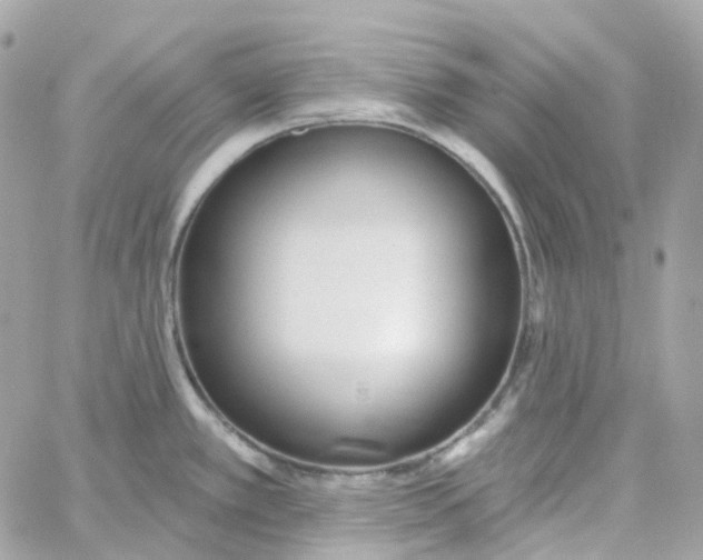 X0000059041389200511041625