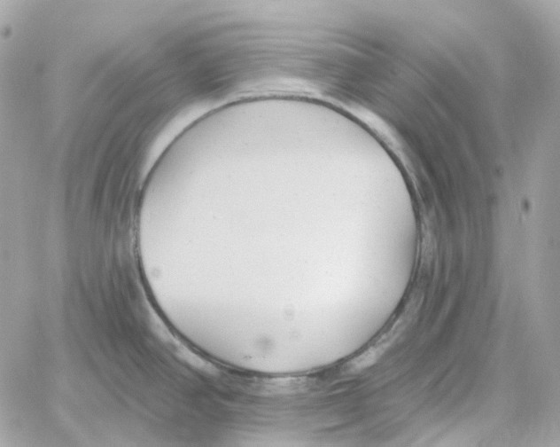 X0000059041390200511041625