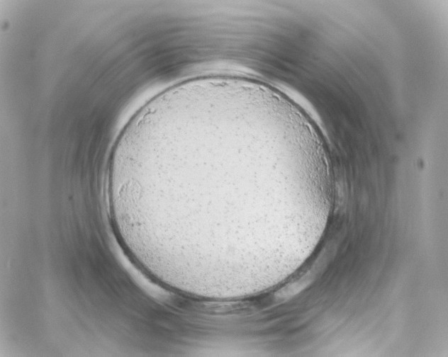 X0000059041391200511041625