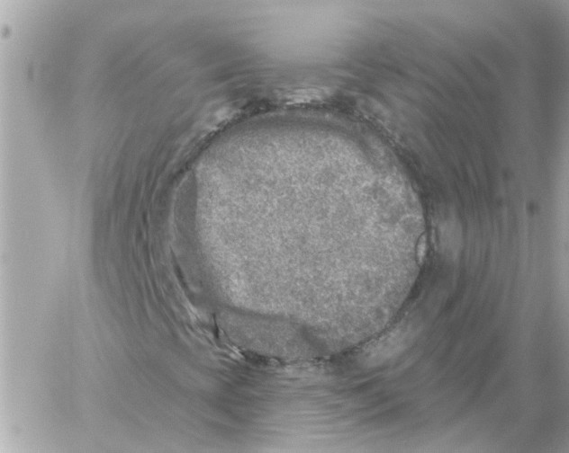 X0000059041393200511041624