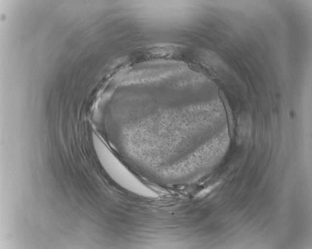 X0000059041394200511041624