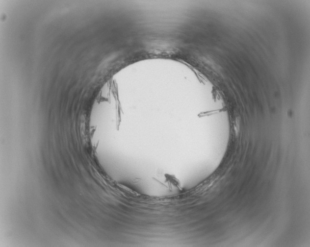 X0000059041396200511041624