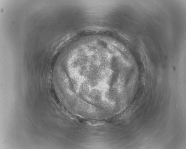 X0000059041397200511041624