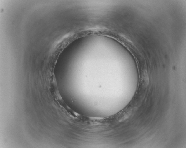 X0000059041398200511041624