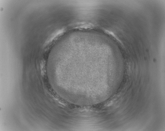 X0000059041399200511041624