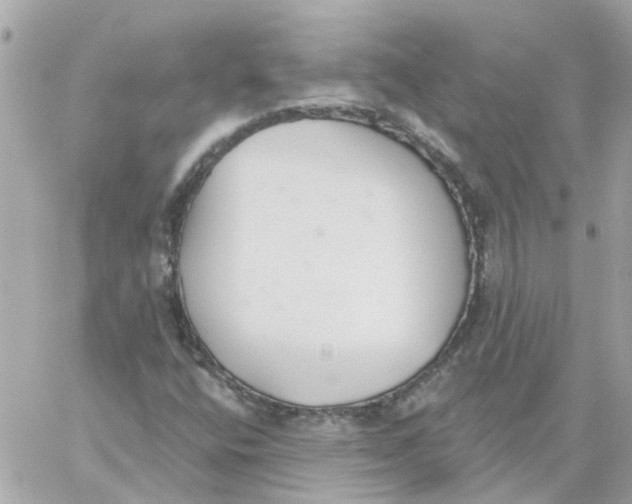 X0000059041400200511041624