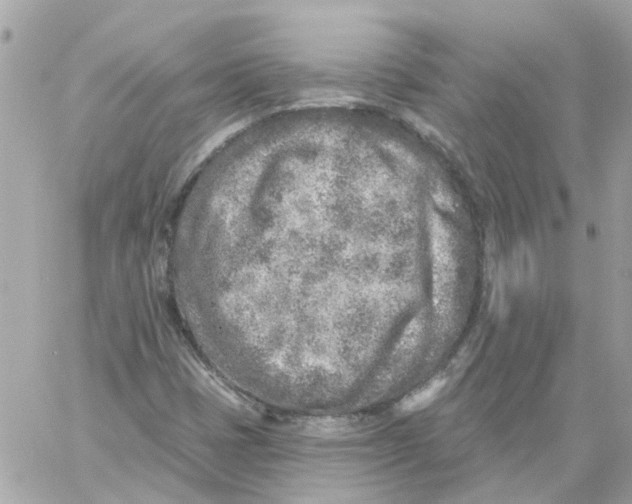 X0000059041401200511041624