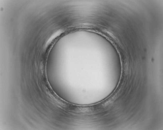 X0000059041402200511041624