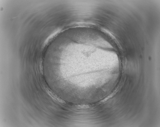 X0000059041403200511041624