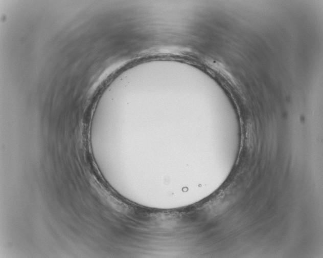 X0000059041404200511041624