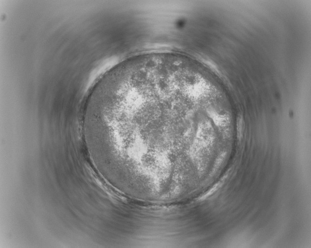 X0000059041405200511041624