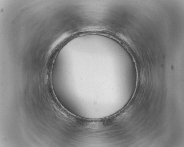 X0000059041406200511041624