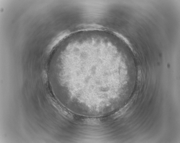 X0000059041407200511041624