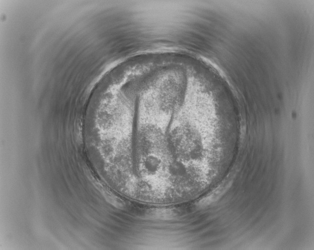 X0000059041409200511041624