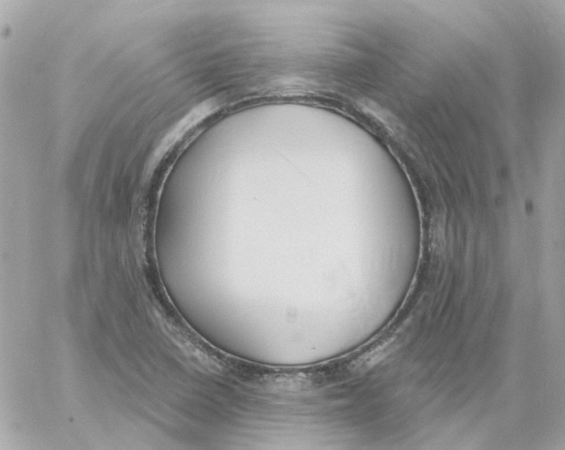 X0000059041410200511041624